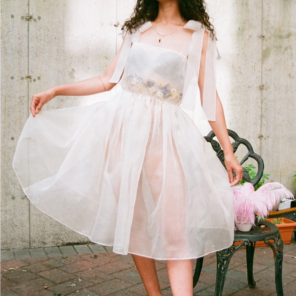 NWOT Dauphinette Miraflores Silk Organza Dress size M